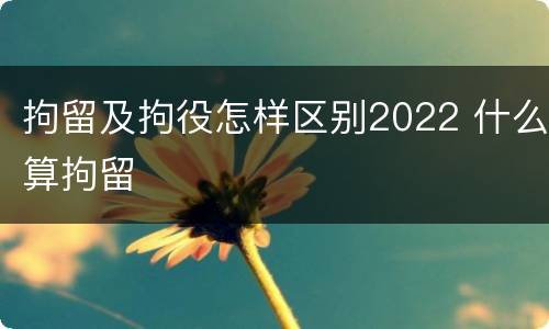 拘留及拘役怎样区别2022 什么算拘留