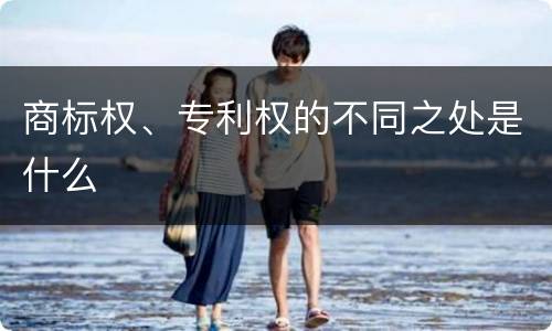 商标权、专利权的不同之处是什么