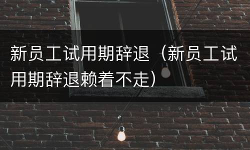 新员工试用期辞退（新员工试用期辞退赖着不走）