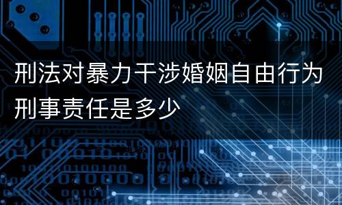 刑法对暴力干涉婚姻自由行为刑事责任是多少