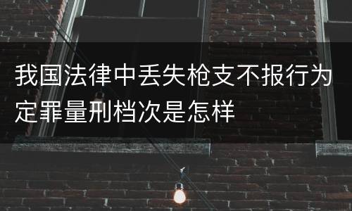 我国法律中丢失枪支不报行为定罪量刑档次是怎样