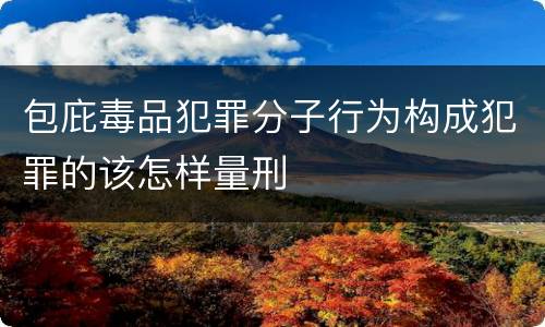 包庇毒品犯罪分子行为构成犯罪的该怎样量刑