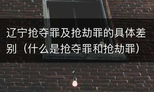 辽宁抢夺罪及抢劫罪的具体差别（什么是抢夺罪和抢劫罪）