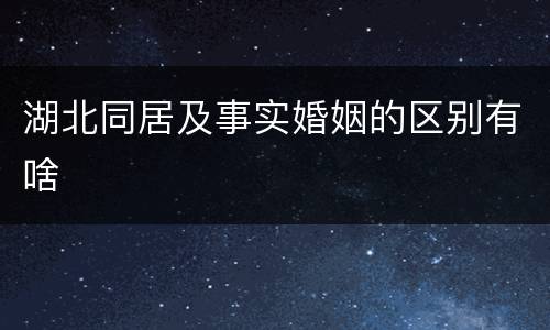 湖北同居及事实婚姻的区别有啥