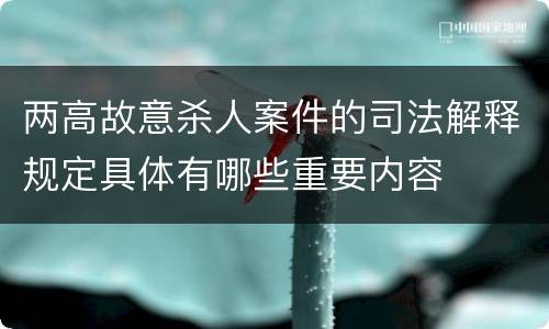 两高故意杀人案件的司法解释规定具体有哪些重要内容