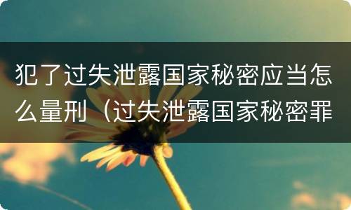 犯了过失泄露国家秘密应当怎么量刑（过失泄露国家秘密罪立案的标准）