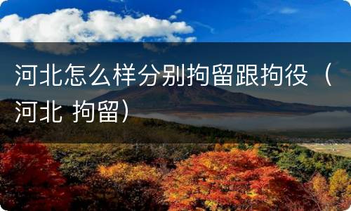 河北怎么样分别拘留跟拘役（河北 拘留）