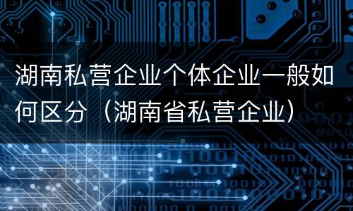 湖南私营企业个体企业一般如何区分（湖南省私营企业）