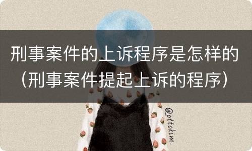 刑事案件的上诉程序是怎样的（刑事案件提起上诉的程序）