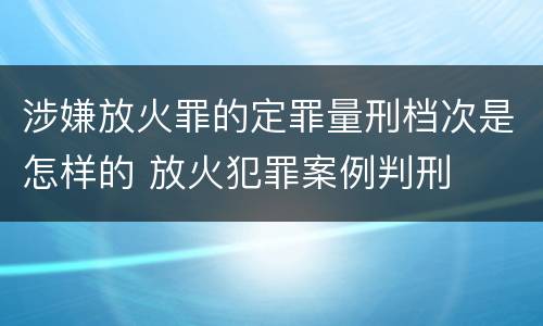 涉嫌放火罪的定罪量刑档次是怎样的 放火犯罪案例判刑