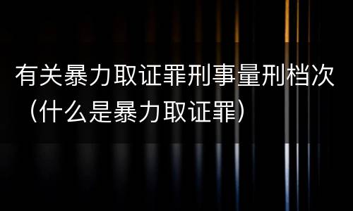 有关暴力取证罪刑事量刑档次（什么是暴力取证罪）