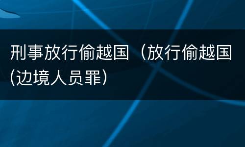刑事放行偷越国（放行偷越国(边境人员罪）