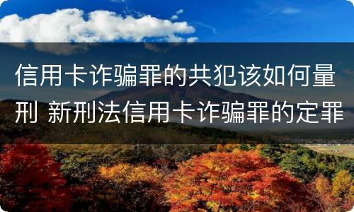 信用卡诈骗罪的共犯该如何量刑 新刑法信用卡诈骗罪的定罪标准?