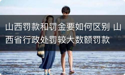 山西罚款和罚金要如何区别 山西省行政处罚较大数额罚款