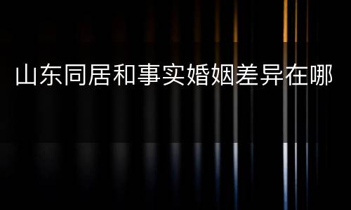 山东同居和事实婚姻差异在哪