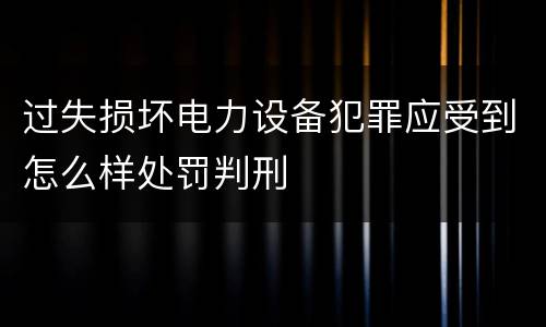 过失损坏电力设备犯罪应受到怎么样处罚判刑
