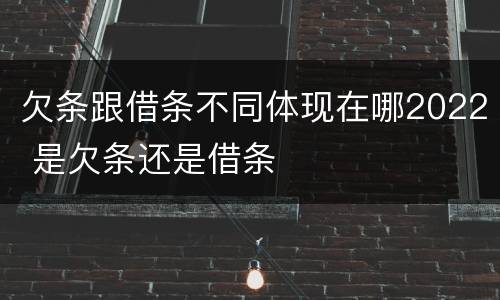 欠条跟借条不同体现在哪2022 是欠条还是借条