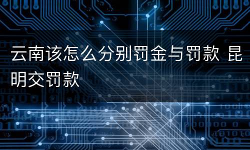 云南该怎么分别罚金与罚款 昆明交罚款