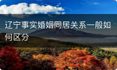 辽宁事实婚姻同居关系一般如何区分