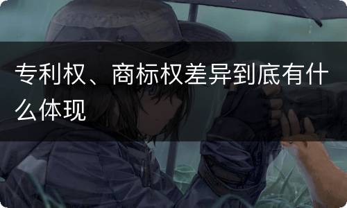 专利权、商标权差异到底有什么体现