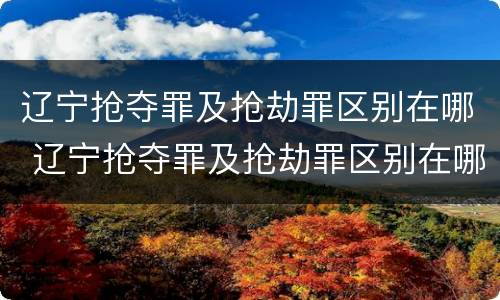 辽宁抢夺罪及抢劫罪区别在哪 辽宁抢夺罪及抢劫罪区别在哪查