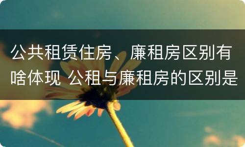 公共租赁住房、廉租房区别有啥体现 公租与廉租房的区别是什么