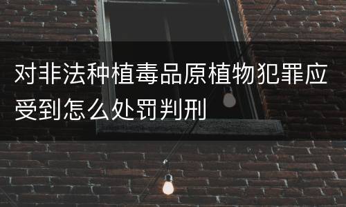 对非法种植毒品原植物犯罪应受到怎么处罚判刑