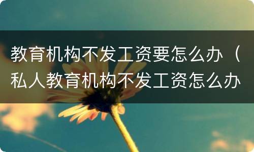 教育机构不发工资要怎么办（私人教育机构不发工资怎么办）