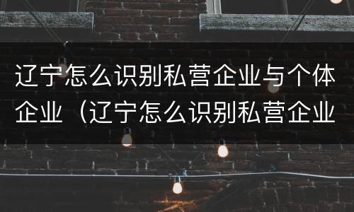 辽宁怎么识别私营企业与个体企业（辽宁怎么识别私营企业与个体企业的区别）