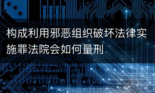 构成利用邪恶组织破坏法律实施罪法院会如何量刑