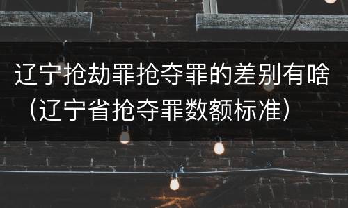 辽宁抢劫罪抢夺罪的差别有啥（辽宁省抢夺罪数额标准）
