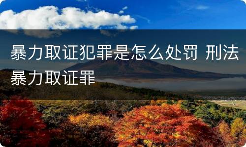 暴力取证犯罪是怎么处罚 刑法暴力取证罪