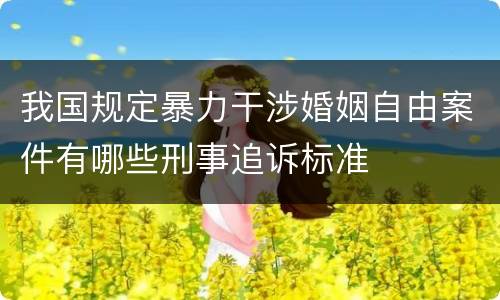 我国规定暴力干涉婚姻自由案件有哪些刑事追诉标准