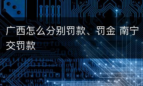 广西怎么分别罚款、罚金 南宁交罚款