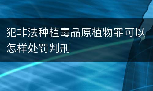 犯非法种植毒品原植物罪可以怎样处罚判刑