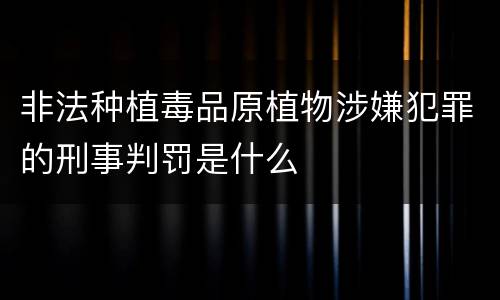 非法种植毒品原植物涉嫌犯罪的刑事判罚是什么