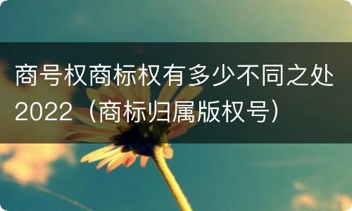 商号权商标权有多少不同之处2022（商标归属版权号）