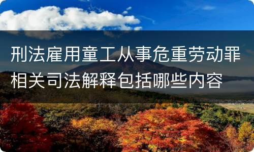 刑法雇用童工从事危重劳动罪相关司法解释包括哪些内容