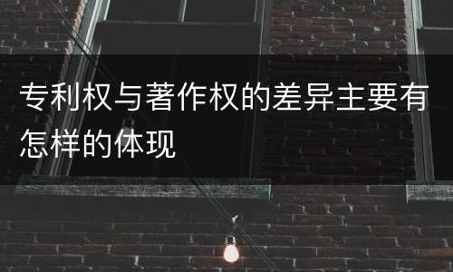 专利权与著作权的差异主要有怎样的体现