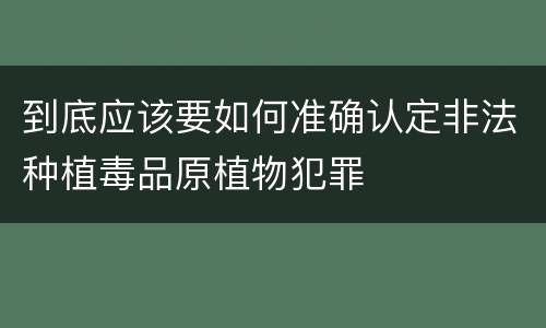 到底应该要如何准确认定非法种植毒品原植物犯罪