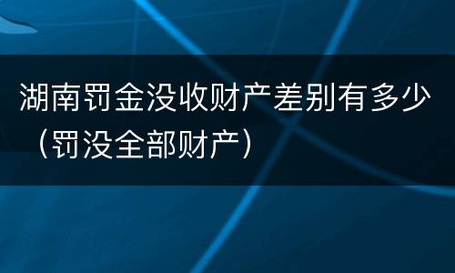湖南罚金没收财产差别有多少（罚没全部财产）