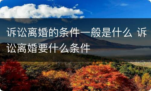 诉讼离婚的条件一般是什么 诉讼离婚要什么条件