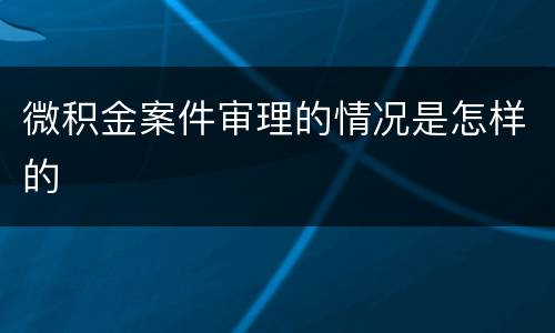 微积金案件审理的情况是怎样的
