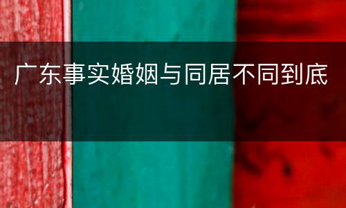 广东事实婚姻与同居不同到底