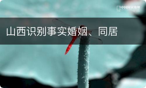 山西识别事实婚姻、同居