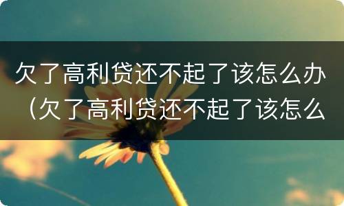 欠了高利贷还不起了该怎么办（欠了高利贷还不起了该怎么办呀）
