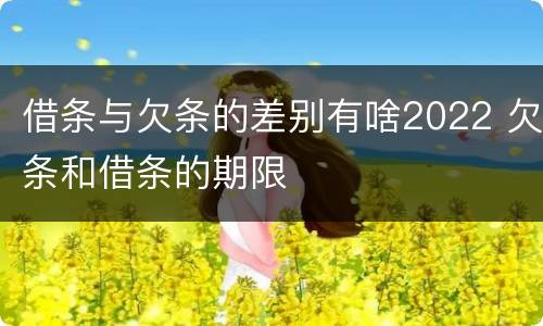 借条与欠条的差别有啥2022 欠条和借条的期限