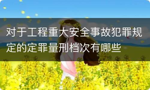 对于工程重大安全事故犯罪规定的定罪量刑档次有哪些