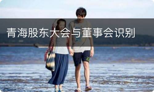 青海股东大会与董事会识别