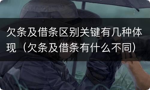 欠条及借条区别关键有几种体现（欠条及借条有什么不同）